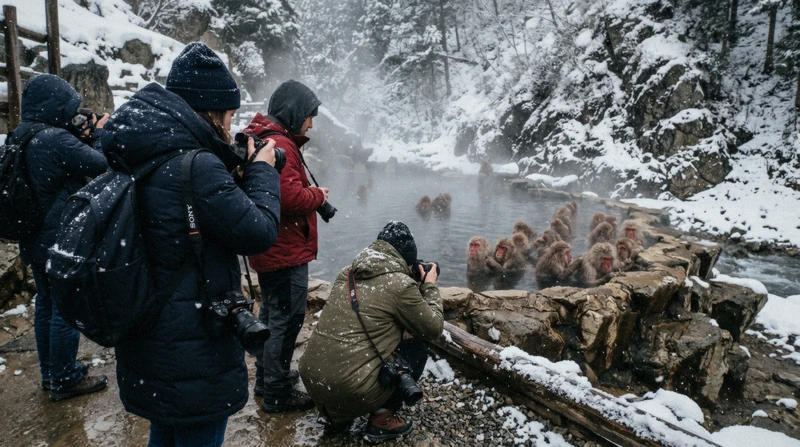 Tour group photographing snow monkeys in the hot spring on a snow monkey tour from Tokyo with sukiyaki lunch