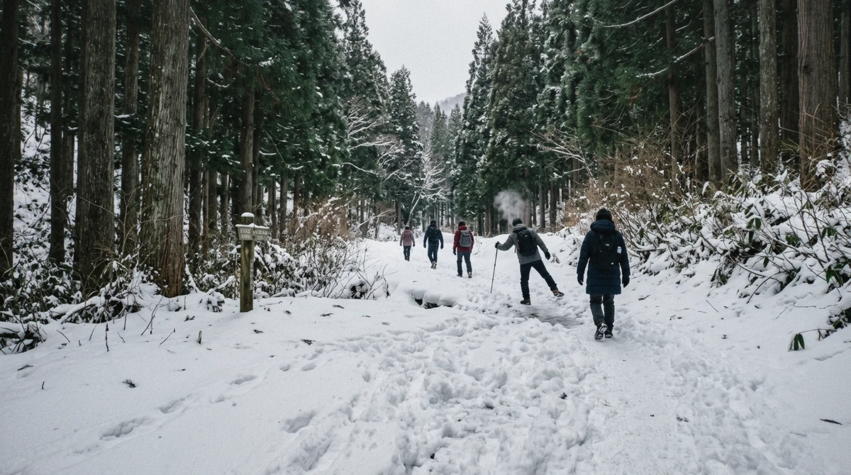 Visitors walking the snowy 1.6 km forest trail into Jigokudani on a Nagano monkey park tour in winter